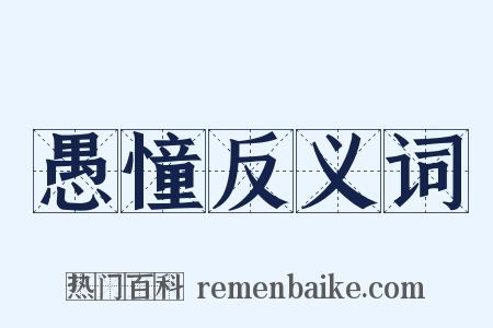 愚憧反义词是什么意思的图片